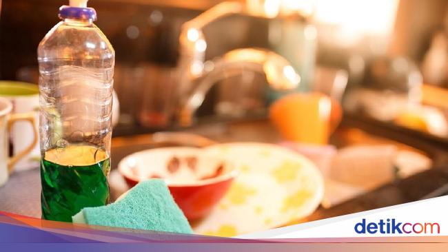 Kapan Saatnya Mengganti Spons Cuci Piring agar Tidak Menjadi Sarang Bakteri?