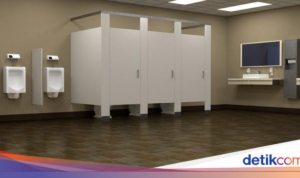 Mengapa Pintu Toilet Umum Memiliki Celah: 7 Alasan yang Mengejutkan